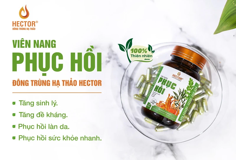 (Ảnh: Sản phẩm Viên nang phục hồi Hector)