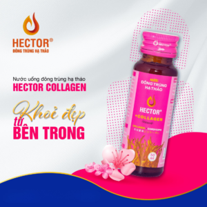 Đông Trùng Hạ Thảo Hector - Thương Hiệu Uy Tín